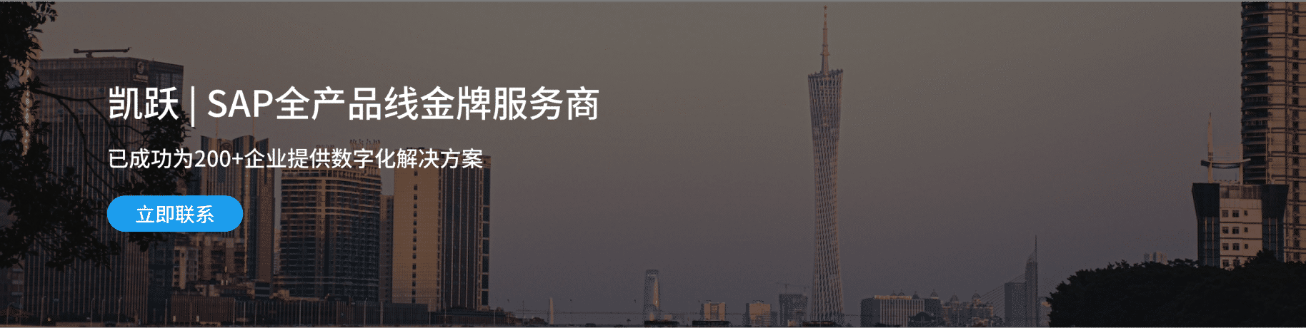了解什么是SAP